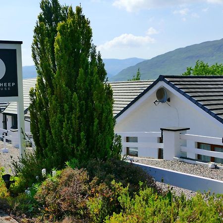 Black Sheep Bunkhouse Fort William Extérieur photo